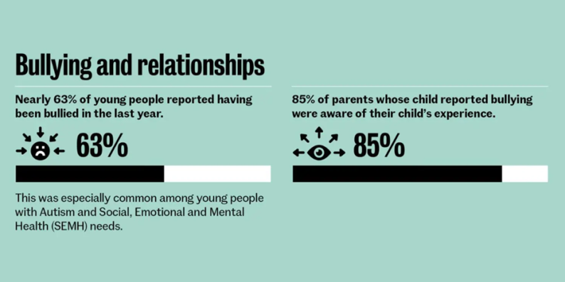 bullying and relationships survey results