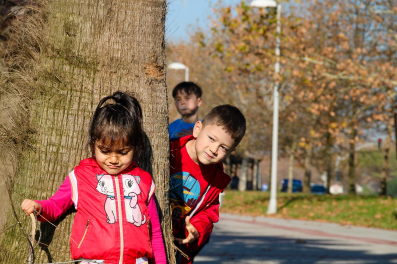 One child looks around a tree to see another child
